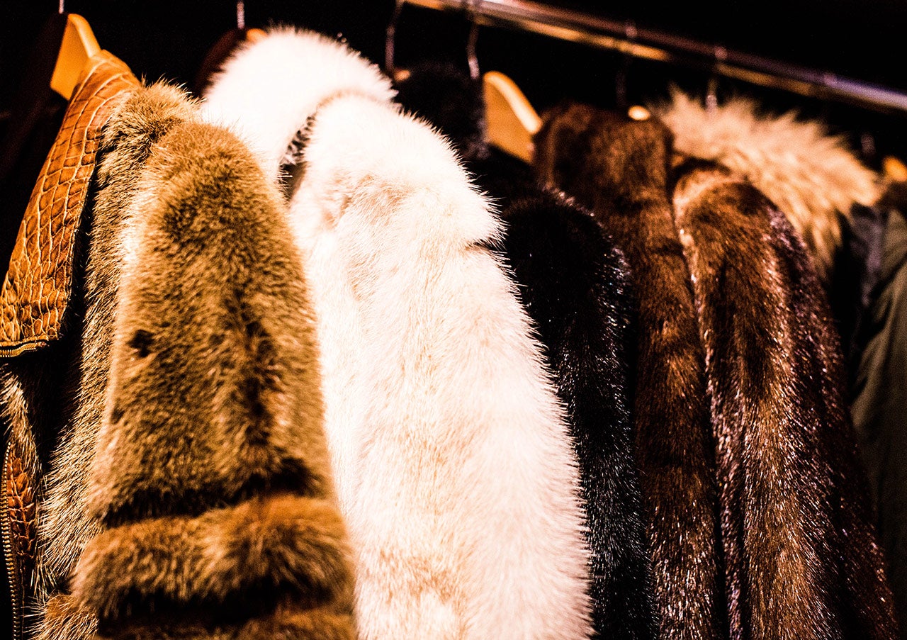 Closeup of fur coats hanging on a rack