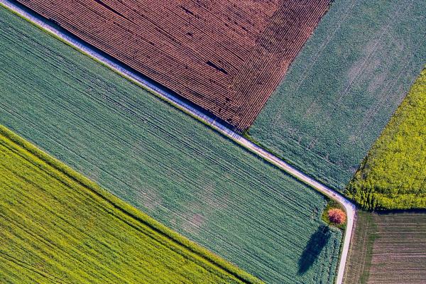 Aerial view of a field